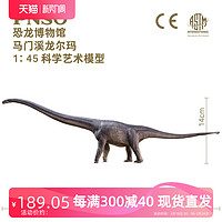 PNSO 马门溪龙尔玛恐龙博物馆1比45科学艺术模型