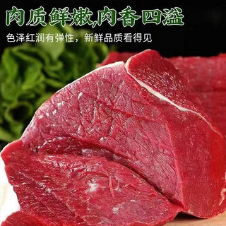 ZHIO牛腿肉新鲜现杀冷冻原切黄牛农家散养生鲜火锅食材生牛肉减脂 精选牛腿肉 精品5斤 装