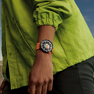 斯沃琪（Swatch）瑞士手表 自然灵感系列 密林落黄 男女石英表SB03G107