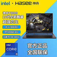 Hasee 神舟 战神TX8R9游戏本（i9-13900HX 、RTX4060、16+1T、2.5k 165Hz 100%Srgb 500nit）