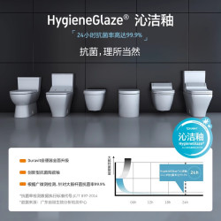 DURAVIT 杜拉维特 马桶虹吸式连体家用坐便器杜拉维特(中国)洁具有限公司