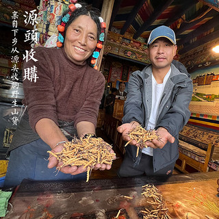 藏遇 西藏那曲虫草高海拔4500米以上头期冬虫夏草头茬干货优选1克