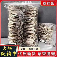 新货鹿茸菇鹿茸菌2023干货农家特产无熏硫煲汤炖炒可批发食材