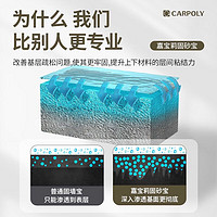 CARPOLY 嘉宝莉 墙固地固界面剂防霉加固剂内墙固沙宝增强基层抗碱防潮固化剂 1kg  送工具