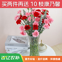 JIANSHI 简势 香水百合鲜花批发云南昆明直发家庭水养鲜切花基地直发每周一花 康乃馨10枝+5枝尤加利叶