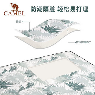 CAMEL 骆驼 户外野餐垫防潮垫子春游草地野炊露营地垫沙滩垫装备用品 173BALP121灰色，195*195cm