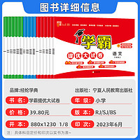 《学霸提优大试卷》（2024版、年级/科目/版本任选）