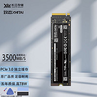 ZHITAI 致态 长江存储 SSD固态硬盘 NVMe M.2接口 PC005 Active PC005 Active 256G PCIe 3.0 独立缓存