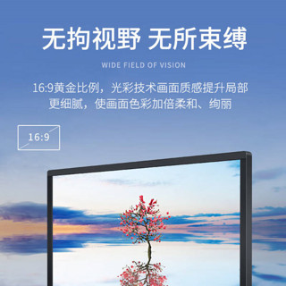 联想（Lenovo）T2225 21.5英寸家用商用办公液晶台式机显示器 低蓝光不闪屏 护眼认证（VGA+DVI接口）