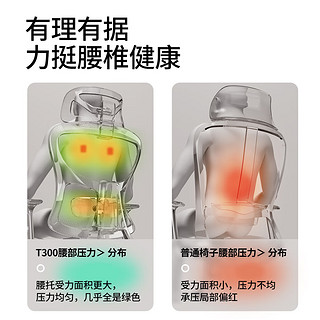 有谱电脑椅T300 人体工学椅子电竞椅办公座椅舒适久坐家用 黑框灰网