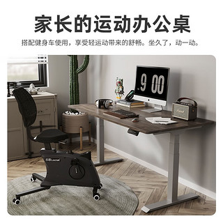 乐歌（Loctek） 电动升降桌智能电脑桌站立式台式办公简约家用居家书桌双电机E5N 银灰桌腿+灰木纹 1.6*0.8米桌板