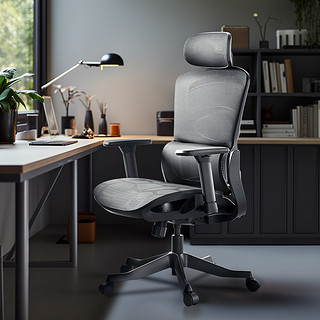 PLUS会员：HBADA 黑白调 P2 Pro 人体工学椅电脑椅