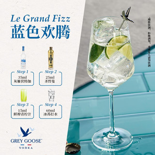 灰雁（Grey Goose）调酒 基酒 烈酒 伏特加 40度 原味   洋酒 200ml