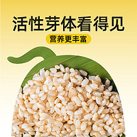 糙米大匠 发芽糙米500g