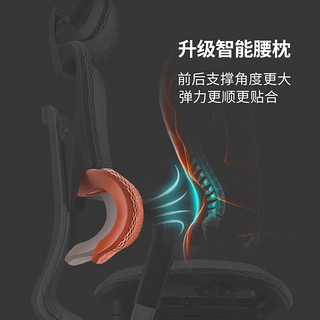 有谱FlyPro人体工学椅子护腰办公椅座椅电脑椅家用舒适久坐人体工程椅 黑框黑网+脚踏
