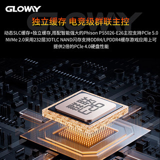 光威（Gloway）2TB SSD固态硬盘 M.2接口(NVMe协议) PCIe 5.0 独立缓存 神策PRO系列