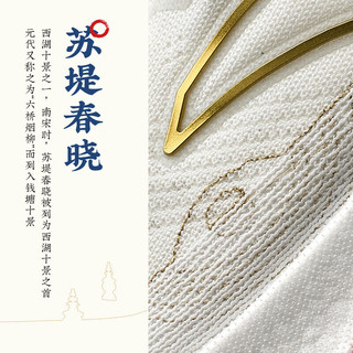 ANTA安踏冠军跑鞋2代Pro丨中国体育代表团领鞋纪念版氮科技跑步鞋 【男】纸莎白/金属金-1 8.5(男42)