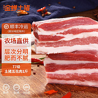 缘琳山国产猪五花肉块500g 冷冻带皮五花猪五花烧烤肉原料 T7土猪五花肉1斤