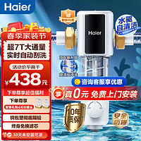 Haier 海尔 HP60-XAw11 前置过滤器  7T大通量 全自动清洗终身免换滤芯