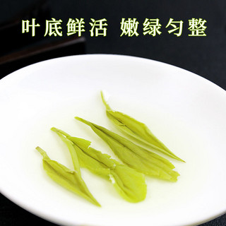 羽信 毛尖绿茶品鉴装 10g