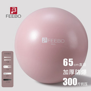 feebo 瑜伽球