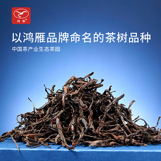 鸿雁 十二号花香蜜香英德红茶 广东农科院茶科所 罐装100g生态茶园