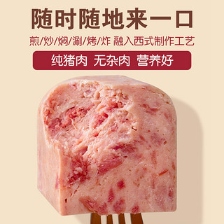 温氏食品 温氏火腿午餐肉罐头198g*3罐猪肉≥90%即食速食火锅食材泡面拍档