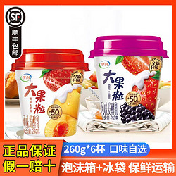 yili 伊利 酸奶大果粒草莓黄桃桑甚味260g*6杯装风味发酵乳
