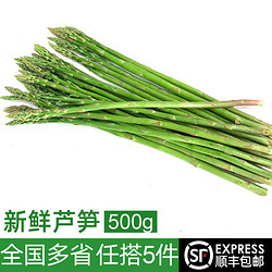 绿食者 新鲜芦笋500g 龙须菜 嫩绿芦笋农家自产去白根新鲜蔬菜