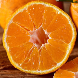 凯果思正宗四川不知火丑橘新鲜当季水果丑八怪柑桔子整箱9斤甄选不知