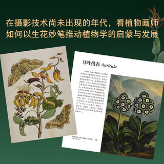 花朵传奇：大航海时代的植物图谱（异步图书）