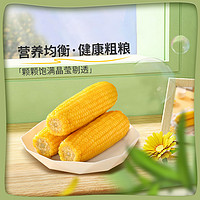 园侬鲜 东北头茬鲜食黄糯玉米220g*8穗