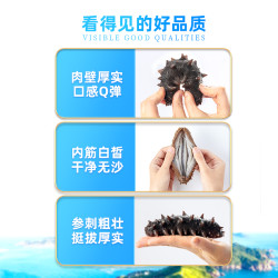 颐参严选 底播辽刺参 即食海参