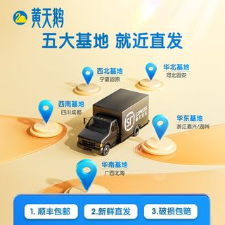 黄天鹅鸡蛋36枚装 整箱礼盒装 可生食鸡蛋 新鲜无菌 轻食