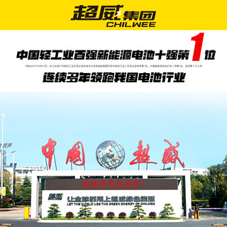 超威电池 CHILWEE 童车电池6V4.5a12伏v6伏儿童电动玩具车电瓶汽车摩托三轮蓄电池 超威电池 CHILWEE【磷酸铁锂电池】12V9AH