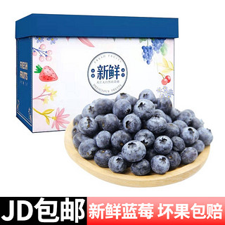 特大果 蓝莓 125g*4盒 单果18-22mm