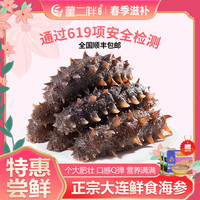 董二胖大连海参鲜食刺参 即食海参免洗单独装 高品质生鲜水产 7A参7-9只/斤 3斤+多发1斤共4斤