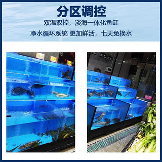 鲜秀 2层移动海鲜池鱼缸贝类池暂养池商用超市生鲜饭店养殖一体机 1.5米两层带制冷机