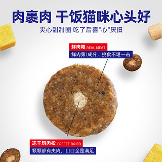 SOLUTION 耐吉斯 冻干生骨肉鲜肉猫粮6kg成猫幼猫高蛋白益生菌鸡肉味1.5kg*4包