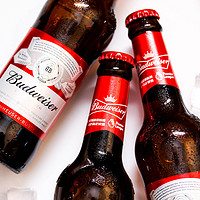 Budweiser 百威 整箱百威Budweiser啤酒24瓶 拉格清爽小麦白啤275ml*24瓶