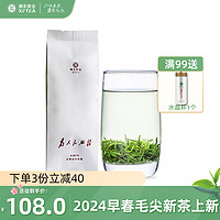 湘丰 2024新茶春茶湘丰茶叶散装绿茶为人民服务毛尖茶叶明前毛尖茶50g 50g1袋为人民服务单包