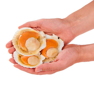 福字号冷冻带卵去脏半壳粉丝扇贝超大号420g 6只轻食