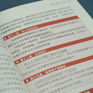 中华人民共和国宪法（大字实用版）【双色】