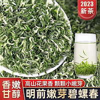 御贡仙芽 特级碧螺春茶叶2023新茶高山绿茶浓香明前嫩芽春茶 碧螺春 袋装 250g