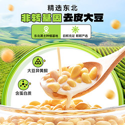 Nanguo 南国 食品生椰豆乳粉300g豆浆椰子粉速溶冲饮营养早餐代餐粉豆奶粉