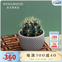 WEDGWOOD 威基伍德彩韵浮雕玉石9cm水貂灰色花盆欧式多肉陶瓷花盆  浮雕玉石水貂灰花盆