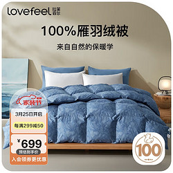 LOVE·FEEL 拉芙菲尔 五星级酒店A类抗菌100%雁鸭绒国产单双人羽绒冬被6.1斤 220x240CM