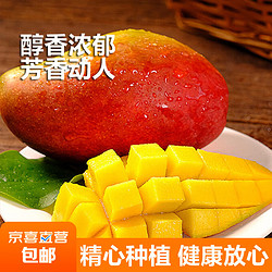 海南贵妃芒果  肉质细嫩 高甜多汁芒果 当季热带新鲜水果 带箱10斤装大果