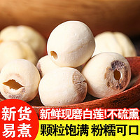 独菇不败 建宁莲子干货500g级特去芯白连子粒干莲子