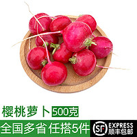 绿食者 新鲜樱桃萝卜500g 迷你小红萝卜西餐沙拉食材 轻食蔬菜